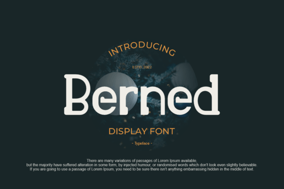 Berned: A Quirky Display Typeface for Bold Web Design