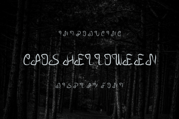 Caos Helloween: A Designer's Honest Review