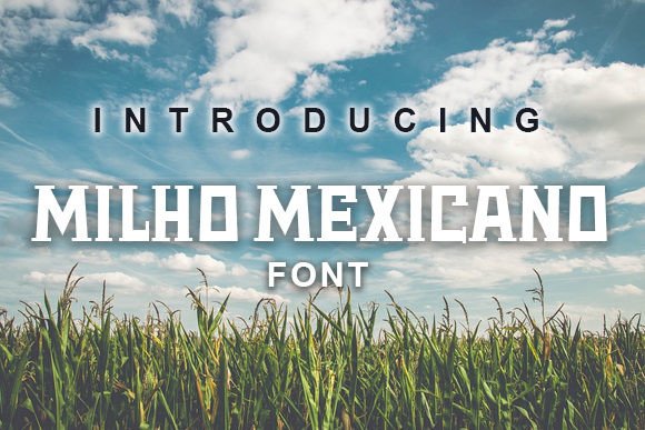 Milho Mexicano: The Display Typeface That Elevates Campaign Visuals