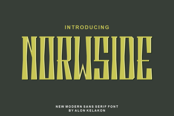 Norwside: The Elegant Display Font for Handmade Creations
