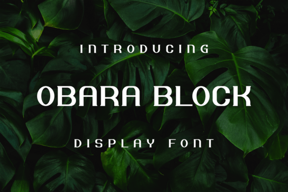 Obara Block: The Perfect Display Font for Handmade Creators