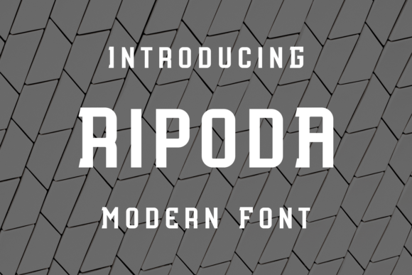 Ripoda: The Playful Display Typeface That Elevates Handmade Brands
