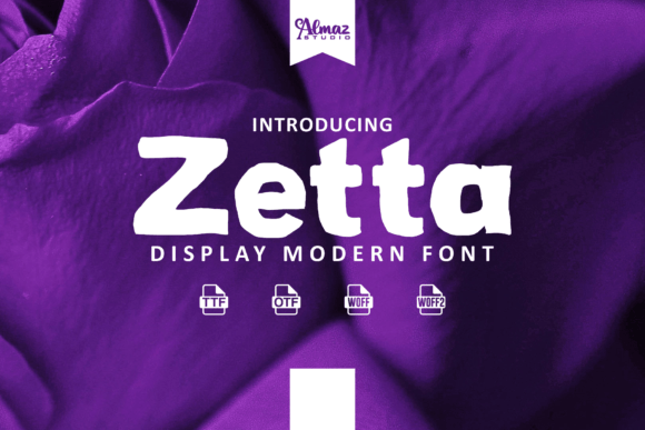 Zetta: A Designer's Honest Review for Real-World Projects